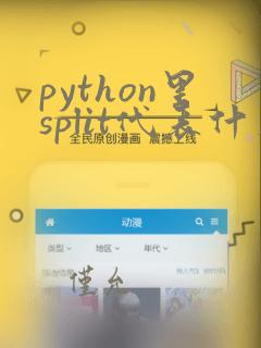 python里split代表什么