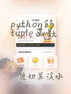 python的tuple函数