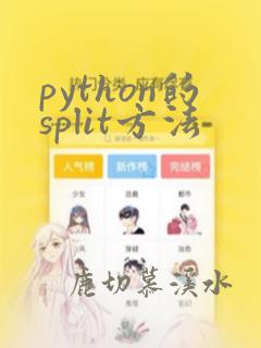 python的split方法
