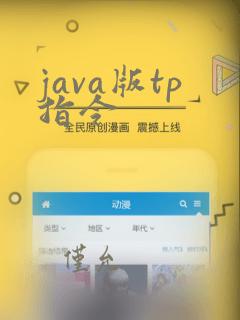 java版tp指令