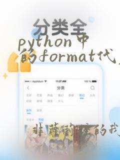 python中的format代表什么