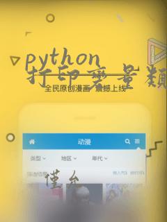 python 打印变量类型