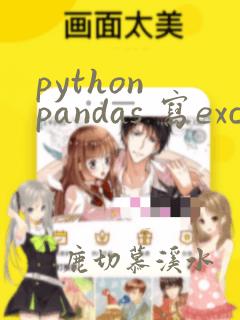 python pandas 写excel