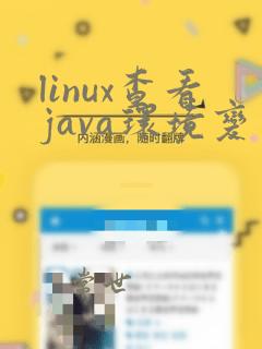 linux查看java环境变量配置