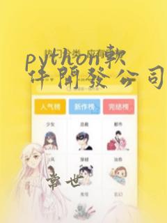 python软件开发公司