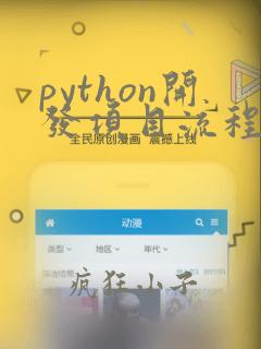 python开发项目流程