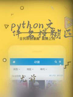 python文件名模糊匹配