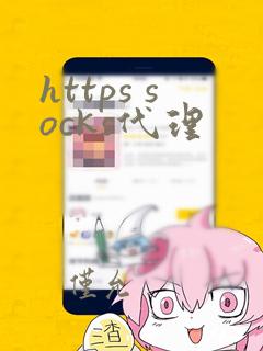 https socks代理