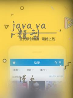 java var类型