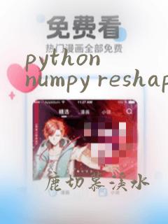 python numpy reshape