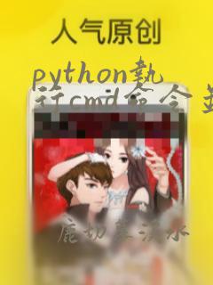 python执行cmd命令并解析结果