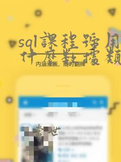 sql课程号用什么数据类型