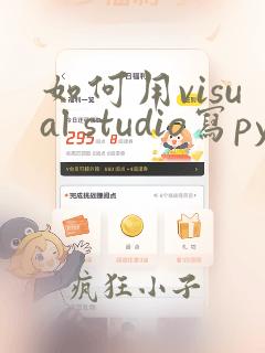 如何用visual studio写python
