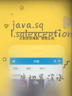 java.sql.sqlexception: java heap space