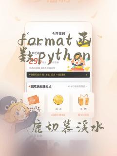 format函数python