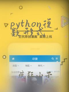 python复数形式