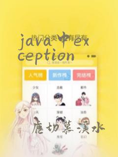 java中exception