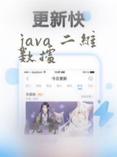 java 二维数据