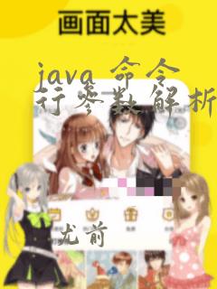java 命令行参数解析