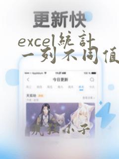excel统计一列不同值的个数