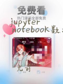 jupyter notebook数据分析