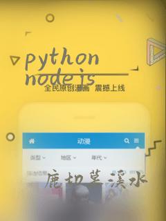 python nodejs