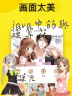 java中的与运算符