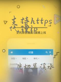 支持https代理ip