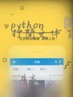 python 打开文件 写文件