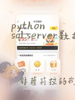 python sql server数据库