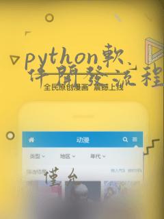 python软件开发流程