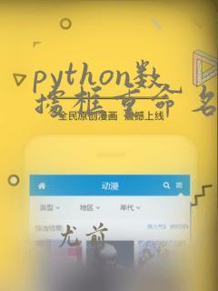 python数据框重命名