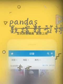 pandas 数据类型转换