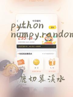 python numpy.random.rand