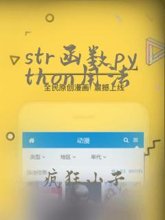 str函数python用法