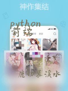 python 前端