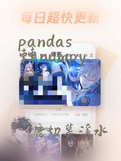 pandas 转numpy