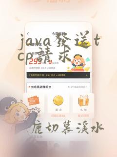 java发送tcp请求