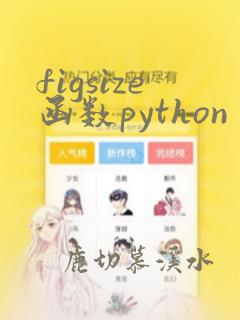 figsize函数python