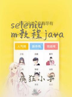 selenium教程java