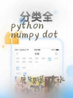 python numpy dot