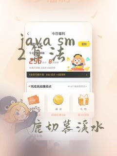 java sm2算法