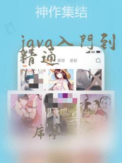 java入门到精通