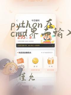 python在cmd界面输入命令