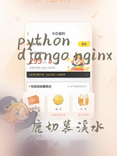 python django nginx