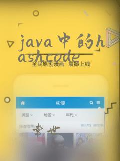 java中的hashcode