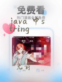 java 中string