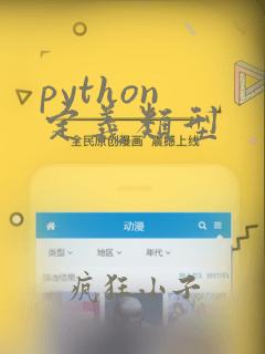 python 定义类型
