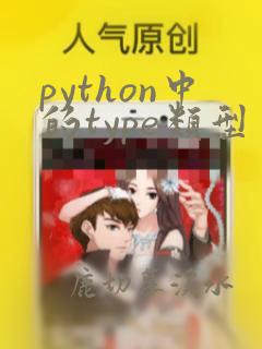 python中的type类型