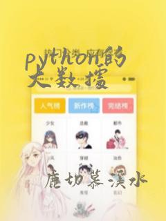 python的大数据